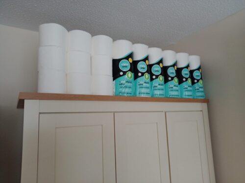 Splesh by Cusheen 3-ply Toilet Roll - Unscented (60 Pack) photo review